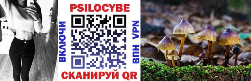 Псилоцибиновые грибы ЛСД  OMG рабочий сайт  Елизаветинская 
