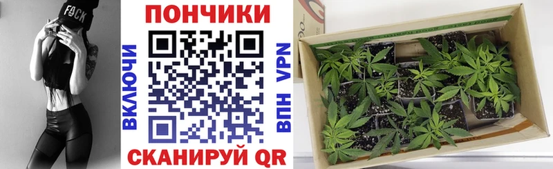 hydra вход как найти закладки Елизаветинская Канабис индика